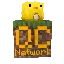 QuackCraft SMP